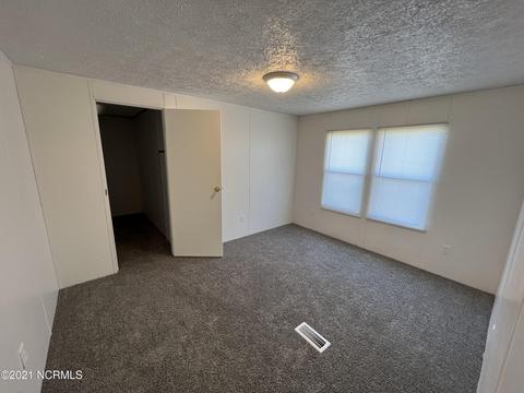 111 Red Tip Ln, Willard, NC 28478 photo 8
