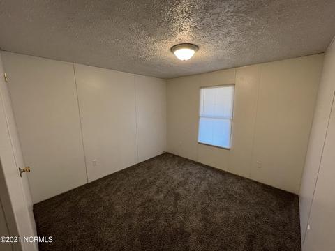 111 Red Tip Ln, Willard, NC 28478 photo 5