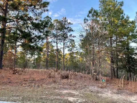 36 Ridgeland St, Pinehurst, NC 28374 photo 1