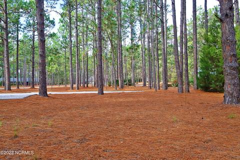 40 Bel Air Dr, Pinehurst, NC 28374 photo 7