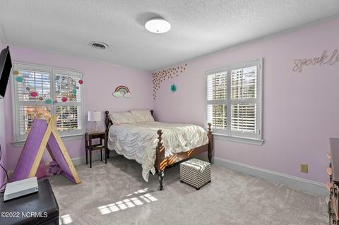 103 Beech Tree Ct, Washington, NC 27889 photo 36