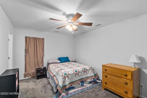 304 Crown Point Rd, Hubert, NC 28539 photo 20