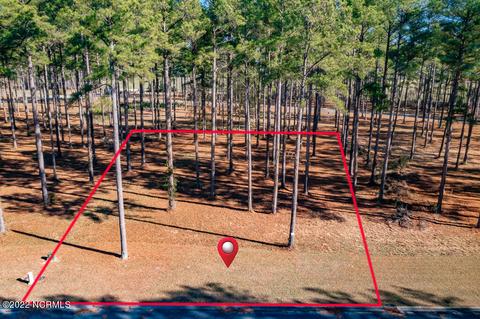232 Frying Pan Loop Rd, Oriental, NC 28571 photo 1