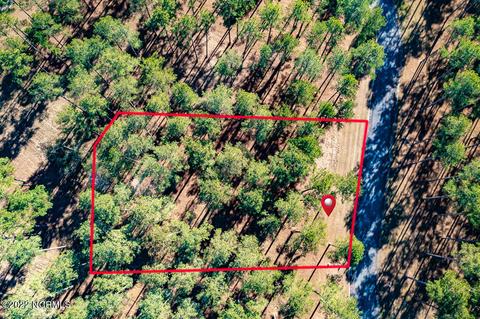 232 Frying Pan Loop Rd, Oriental, NC 28571 photo 4