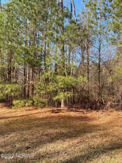 22 Turnberry, Rocky Mount, NC 27804