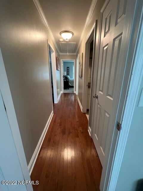 2810 Webbs Chapel Rd, Macclesfield, NC 27852 photo 34