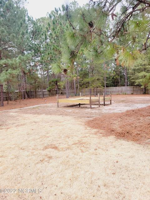 102 Perkins Ln, Pinebluff, NC 28373 photo 62