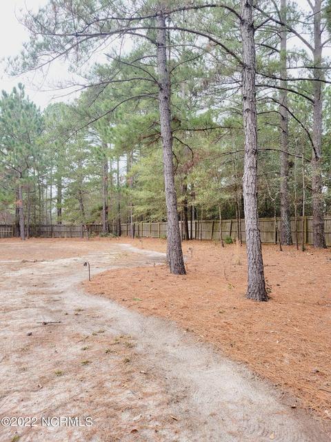 102 Perkins Ln, Pinebluff, NC 28373 photo 59