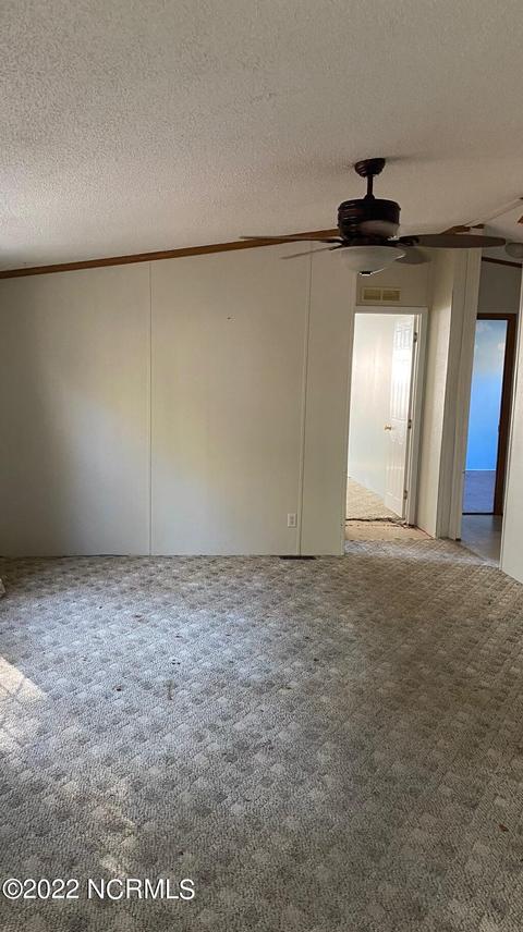 795 Jesse Moore Rd, Ivanhoe, NC 28447 photo 9