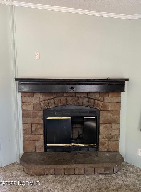 795 Jesse Moore Rd, Ivanhoe, NC 28447 photo 6