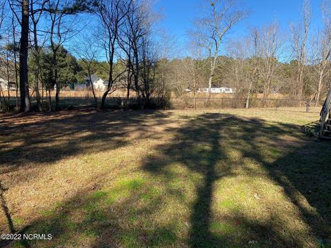 795 Jesse Moore Rd, Ivanhoe, NC 28447 photo 4
