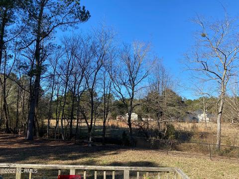 795 Jesse Moore Rd, Ivanhoe, NC 28447 photo 3