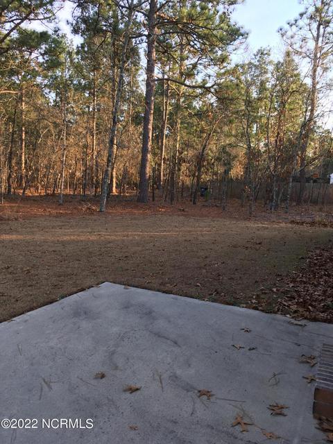 721 Thrush Dr, Vass, NC 28394 photo 22