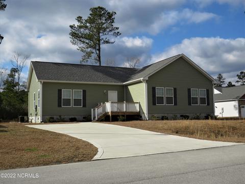 113 Ridgepath Ln, Hubert, NC 28539 photo 1