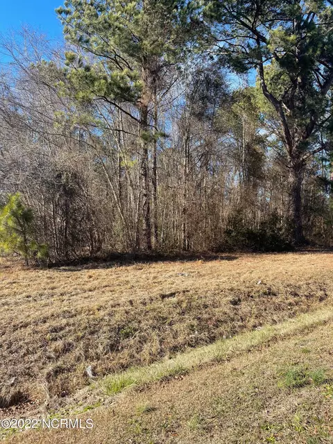0 Mosely Rd, Walstonburg, NC 27888