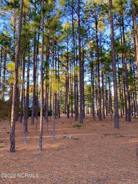 80 Kilbride Dr, Pinehurst, NC 28374 photo 5
