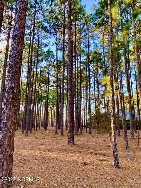 80 Kilbride Dr, Pinehurst, NC 28374 photo 1
