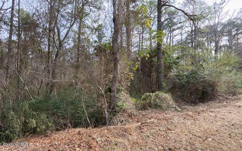 2 Timquana Trl, Pinehurst, NC 28374 photo 6