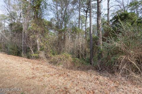 2 Timquana Trl, Pinehurst, NC 28374 photo 3