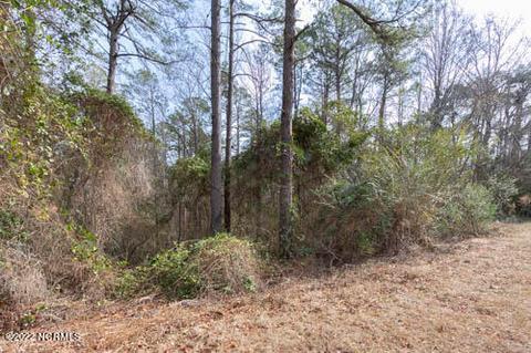 2 Timquana Trl, Pinehurst, NC 28374 photo 2