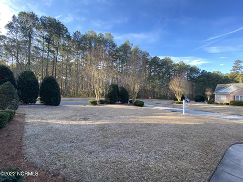 100 Fairview Ln, Chocowinity, NC 27817 photo 3