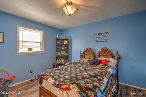 207 Shaw Rd, Hamlet, NC 28345 photo 16