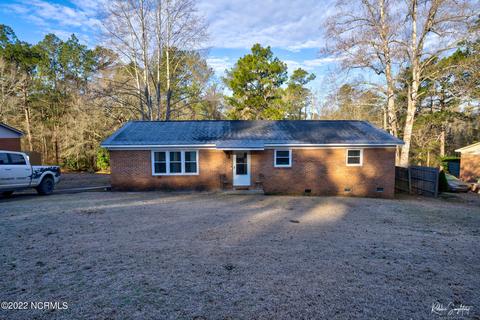 207 Shaw Rd, Hamlet, NC 28345 photo 1