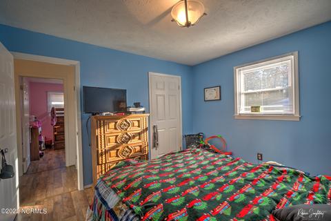 207 Shaw Rd, Hamlet, NC 28345 photo 17