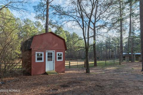 175 Devins Dr, Vass, NC 28394 photo 32