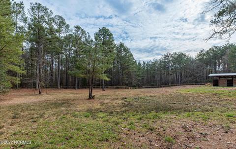 175 Devins Dr, Vass, NC 28394 photo 38