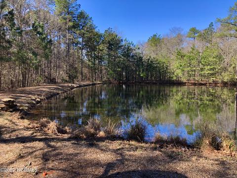 175 Devins Dr, Vass, NC 28394 photo 37