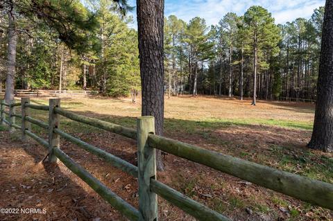 175 Devins Dr, Vass, NC 28394 photo 30