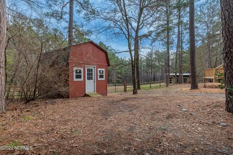 175 Devins Dr, Vass, NC 28394 photo 31