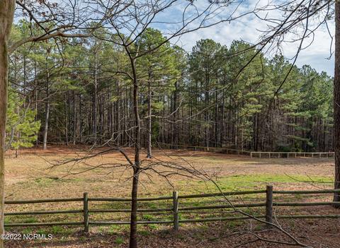 175 Devins Dr, Vass, NC 28394 photo 34