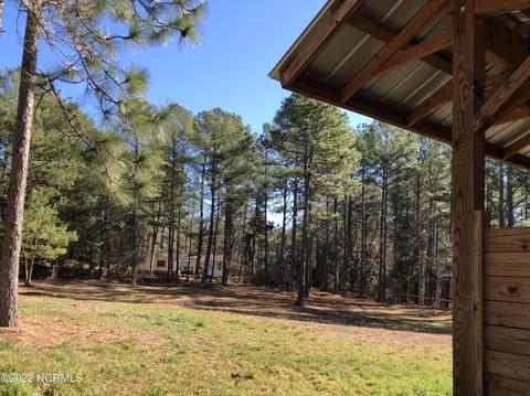 175 Devins Dr, Vass, NC 28394 photo 29