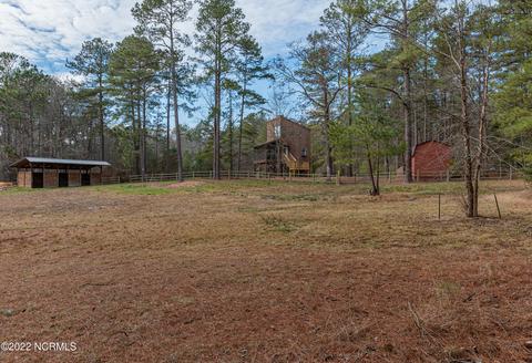 175 Devins Dr, Vass, NC 28394 photo 22