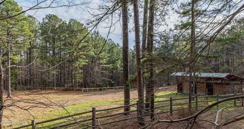 175 Devins Dr, Vass, NC 28394 photo 26