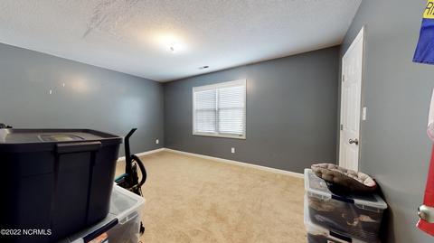 305 Rack Ln, Hubert, NC 28539 photo 10