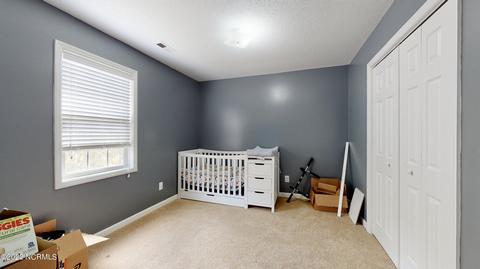 305 Rack Ln, Hubert, NC 28539 photo 9