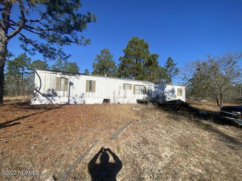 129 Little Buggy Dr, Hamlet, NC 28345 photo 1