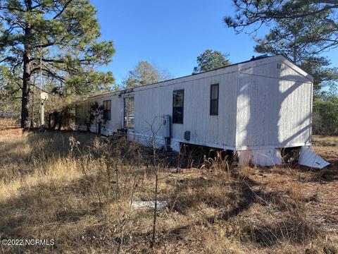 129 Little Buggy Dr, Hamlet, NC 28345 photo 3