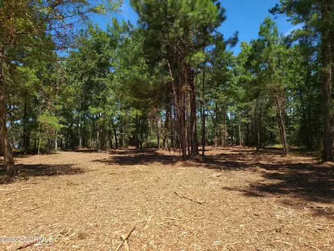 16 Sea View Ct, Bath, NC 27808 photo 8