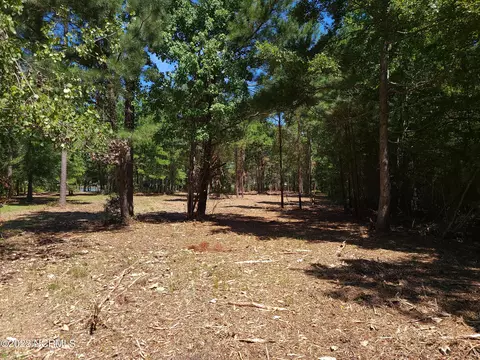 16 Sea View Ct, Bath, NC 27808 photo 7