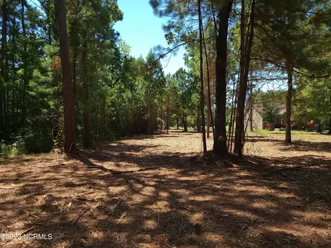 16 Sea View Ct, Bath, NC 27808 photo 19