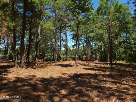 16 Sea View Ct, Bath, NC 27808 photo 9