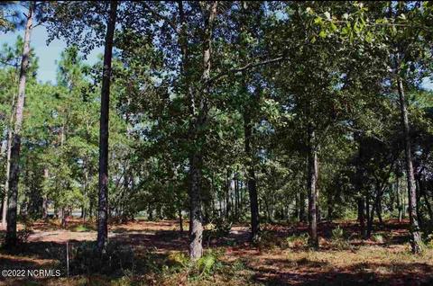 254 E Ivybridge Dr, Hubert, NC 28539 photo 2