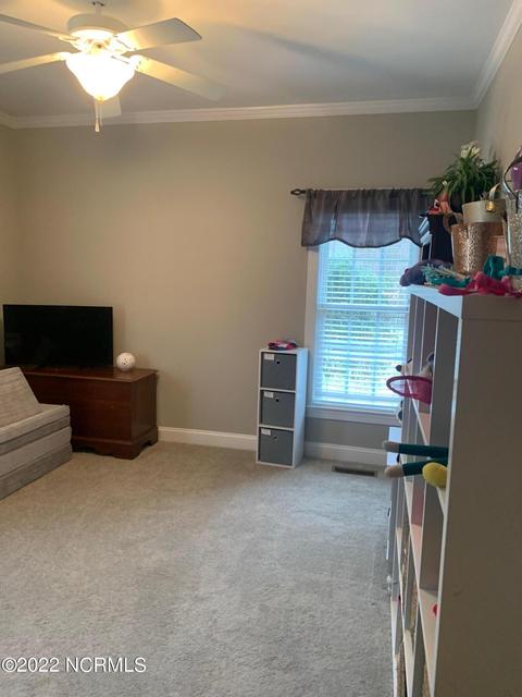 113 Gold Rock Dr, Chocowinity, NC 27817 photo 28