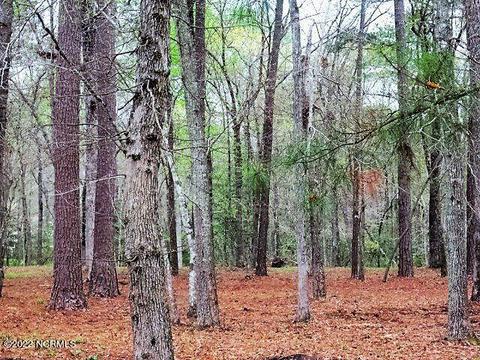 85 Harbour View Dr, Chocowinity, NC 27817