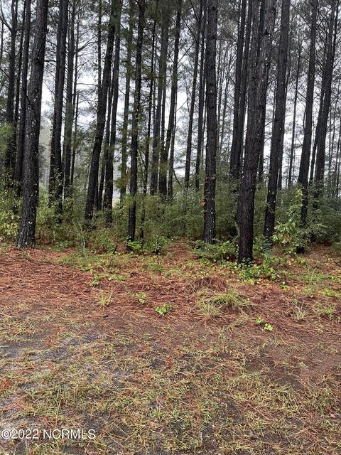 600 Bald Eagle Dr, Vass, NC 28394 photo 2