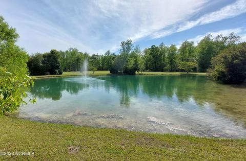 315 Baird Point Rd, Grantsboro, NC 28529